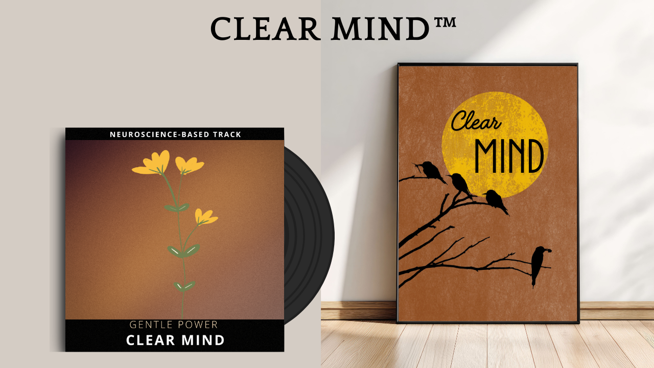 upgrade starter kit (15)